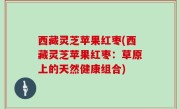 西藏灵芝苹果红枣(西藏灵芝苹果红枣：草原上的天然健康组合)