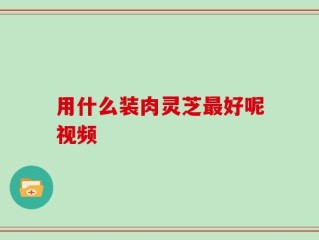 用什么装肉灵芝最好呢视频