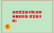 白桦灵芝孢子粉(白桦林里的珍宝-灵芝孢子粉)