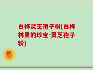 白桦灵芝孢子粉(白桦林里的珍宝-灵芝孢子粉)
