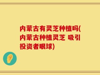 内蒙古有灵芝种植吗(内蒙古种植灵芝 吸引投资者眼球)