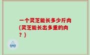 一个灵芝能长多少斤肉(灵芝能长出多重的肉？)