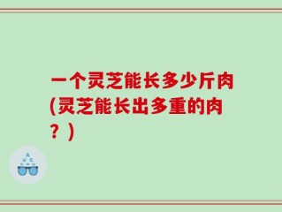 一个灵芝能长多少斤肉(灵芝能长出多重的肉？)