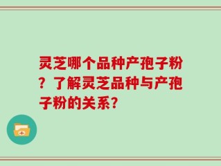 灵芝哪个品种产孢子粉？了解灵芝品种与产孢子粉的关系？