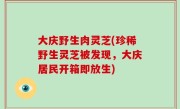 大庆野生肉灵芝(珍稀野生灵芝被发现，大庆居民开箱即放生)