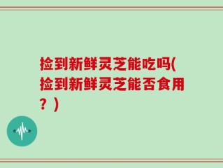 捡到新鲜灵芝能吃吗(捡到新鲜灵芝能否食用？)