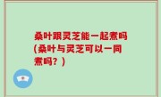 桑叶跟灵芝能一起煮吗(桑叶与灵芝可以一同煮吗？)