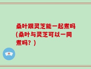 桑叶跟灵芝能一起煮吗(桑叶与灵芝可以一同煮吗？)