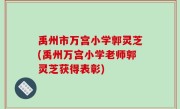 禹州市万宫小学郭灵芝(禹州万宫小学老师郭灵芝获得表彰)