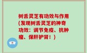 树舌灵芝有功效与作用(发现树舌灵芝的神奇功效：调节免疫、抗肿瘤、保肝护肾！)