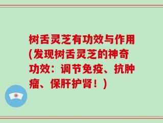 树舌灵芝有功效与作用(发现树舌灵芝的神奇功效：调节免疫、抗肿瘤、保肝护肾！)