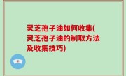灵芝孢子油如何收集(灵芝孢子油的制取方法及收集技巧)