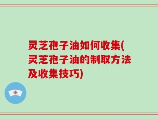 灵芝孢子油如何收集(灵芝孢子油的制取方法及收集技巧)