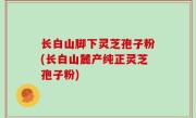 长白山脚下灵芝孢子粉(长白山麓产纯正灵芝孢子粉)