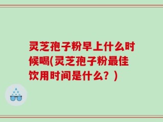 灵芝孢子粉早上什么时候喝(灵芝孢子粉最佳饮用时间是什么？)
