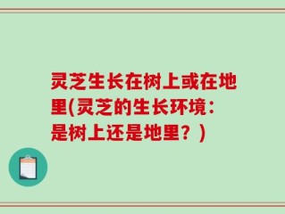灵芝生长在树上或在地里(灵芝的生长环境：是树上还是地里？)