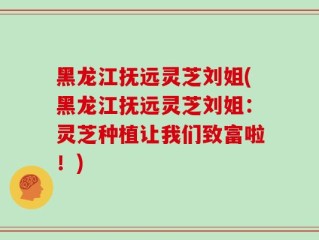 黑龙江抚远灵芝刘姐(黑龙江抚远灵芝刘姐：灵芝种植让我们致富啦！)