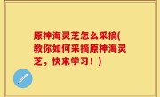 原神海灵芝怎么采摘(教你如何采摘原神海灵芝，快来学习！)