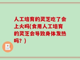 人工培育的灵芝吃了会上火吗(食用人工培育的灵芝会导致身体发热吗？)