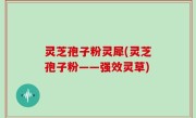 灵芝孢子粉灵犀(灵芝孢子粉——强效灵草)