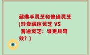 藏佛手灵芝和普通灵芝(珍贵藏区灵芝 VS 普通灵芝：谁更具奇效？)