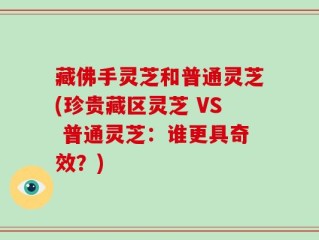 藏佛手灵芝和普通灵芝(珍贵藏区灵芝 VS 普通灵芝：谁更具奇效？)