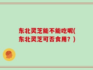 东北灵芝能不能吃呢(东北灵芝可否食用？)