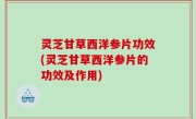 灵芝甘草西洋参片功效(灵芝甘草西洋参片的功效及作用)