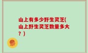 山上有多少野生灵芝(山上野生灵芝数量多大？)