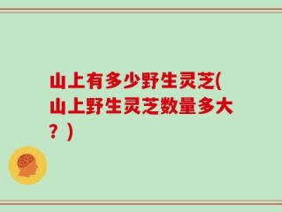 山上有多少野生灵芝(山上野生灵芝数量多大？)