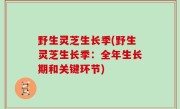 野生灵芝生长季(野生灵芝生长季：全年生长期和关键环节)