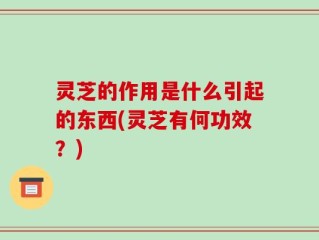 灵芝的作用是什么引起的东西(灵芝有何功效？)