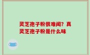 灵芝孢子粉很难闻？真灵芝孢子粉是什么味