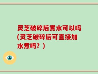 灵芝破碎后煮水可以吗(灵芝破碎后可直接加水煮吗？)