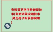 粤微灵芝孢子粉破壁技术(粤微研发尖端技术 灵芝孢子粉获得突破)