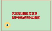 灵芝草减肥(灵芝草：新神器助你轻松减肥)