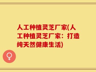 人工种植灵芝厂家(人工种植灵芝厂家：打造纯天然健康生活)