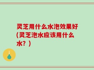 灵芝用什么水泡效果好(灵芝泡水应该用什么水？)