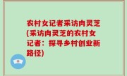 农村女记者采访肉灵芝(采访肉灵芝的农村女记者：探寻乡村创业新路径)