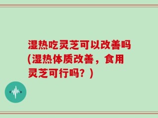湿热吃灵芝可以改善吗(湿热体质改善，食用灵芝可行吗？)