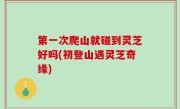 第一次爬山就碰到灵芝好吗(初登山遇灵芝奇缘)