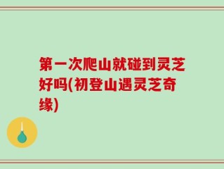 第一次爬山就碰到灵芝好吗(初登山遇灵芝奇缘)