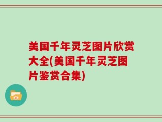 美国千年灵芝图片欣赏大全(美国千年灵芝图片鉴赏合集)