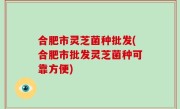 合肥市灵芝菌种批发(合肥市批发灵芝菌种可靠方便)