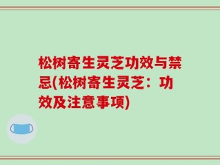 松树寄生灵芝功效与禁忌(松树寄生灵芝：功效及注意事项)