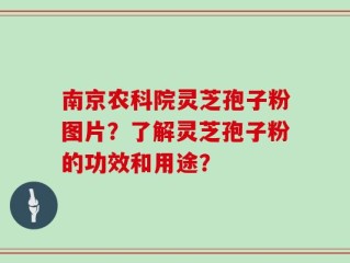 南京农科院灵芝孢子粉图片？了解灵芝孢子粉的功效和用途？
