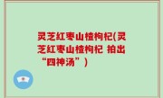 灵芝红枣山楂枸杞(灵芝红枣山楂枸杞 拍出“四神汤”)