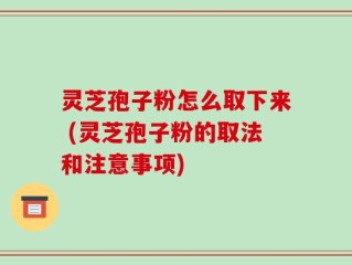 灵芝孢子粉怎么取下来 (灵芝孢子粉的取法和注意事项)