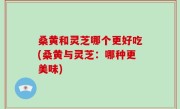 桑黄和灵芝哪个更好吃(桑黄与灵芝：哪种更美味)