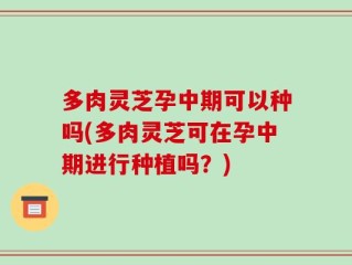 多肉灵芝孕中期可以种吗(多肉灵芝可在孕中期进行种植吗？)